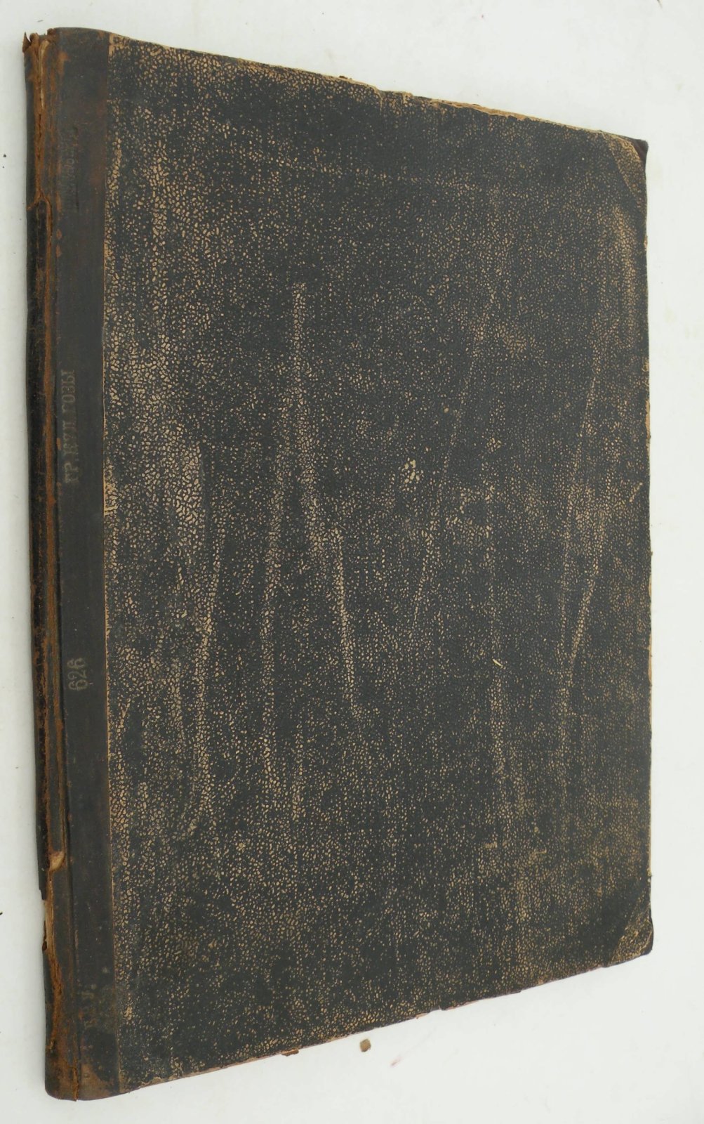 Грунтовая культура розы. Лучшие розы в рисунках и описаниях.