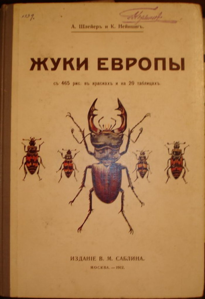 Шлейер А., К.Нейнциг Жуки Европы.