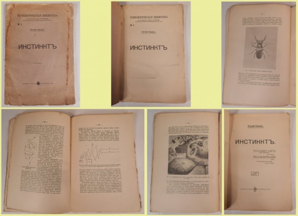 Елачич Е. Инстинкт. 