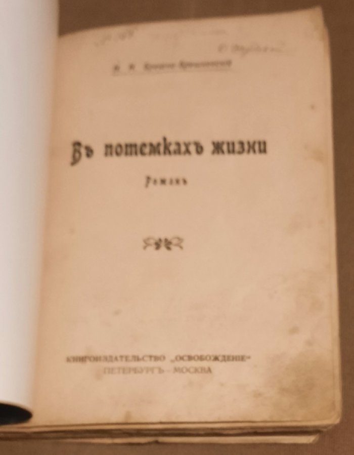 Брешко-Брешковский Н.Н. В потемках жизни.