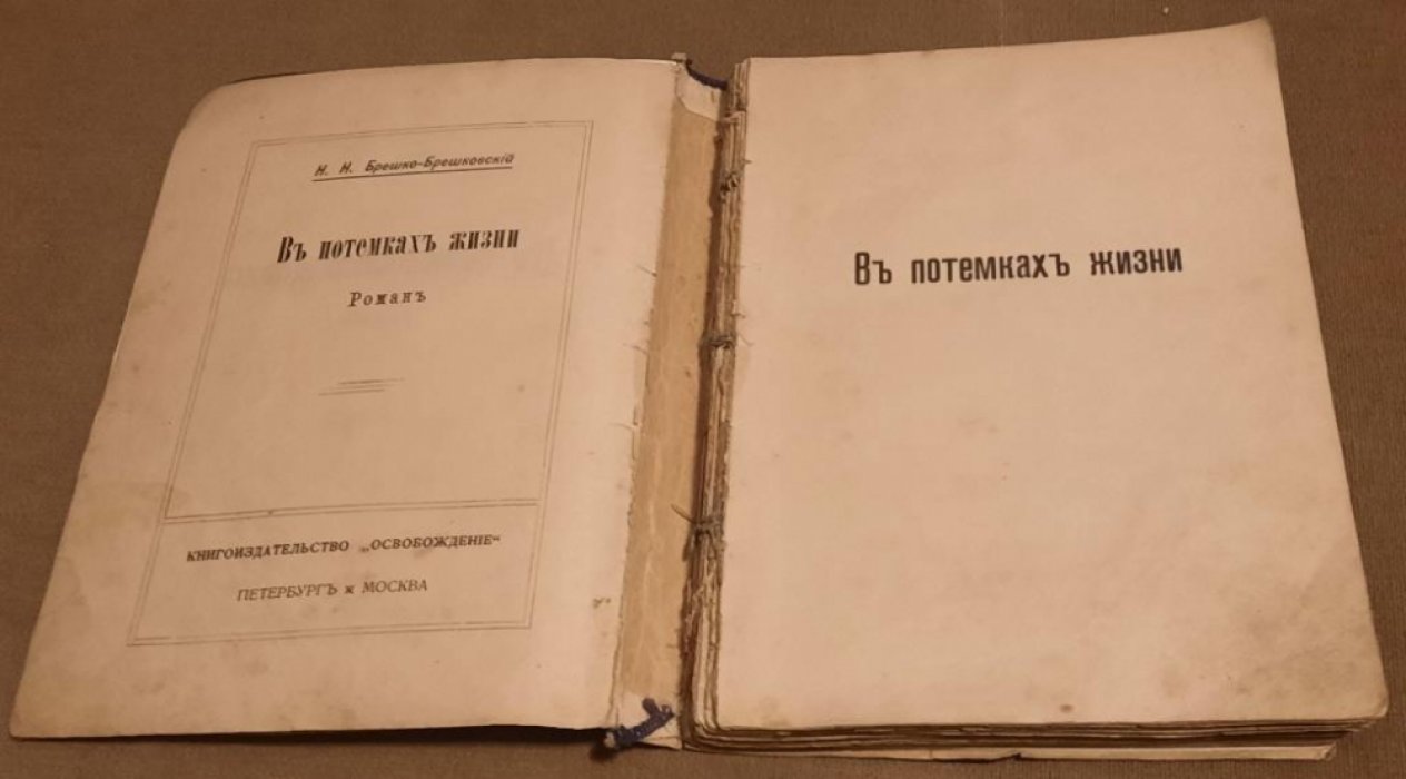 Брешко-Брешковский Н.Н. В потемках жизни.