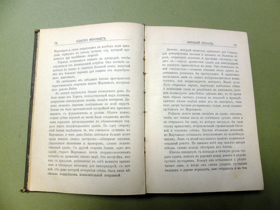 Бласко Ибаньес Висенте. Винный склад (Бодега).