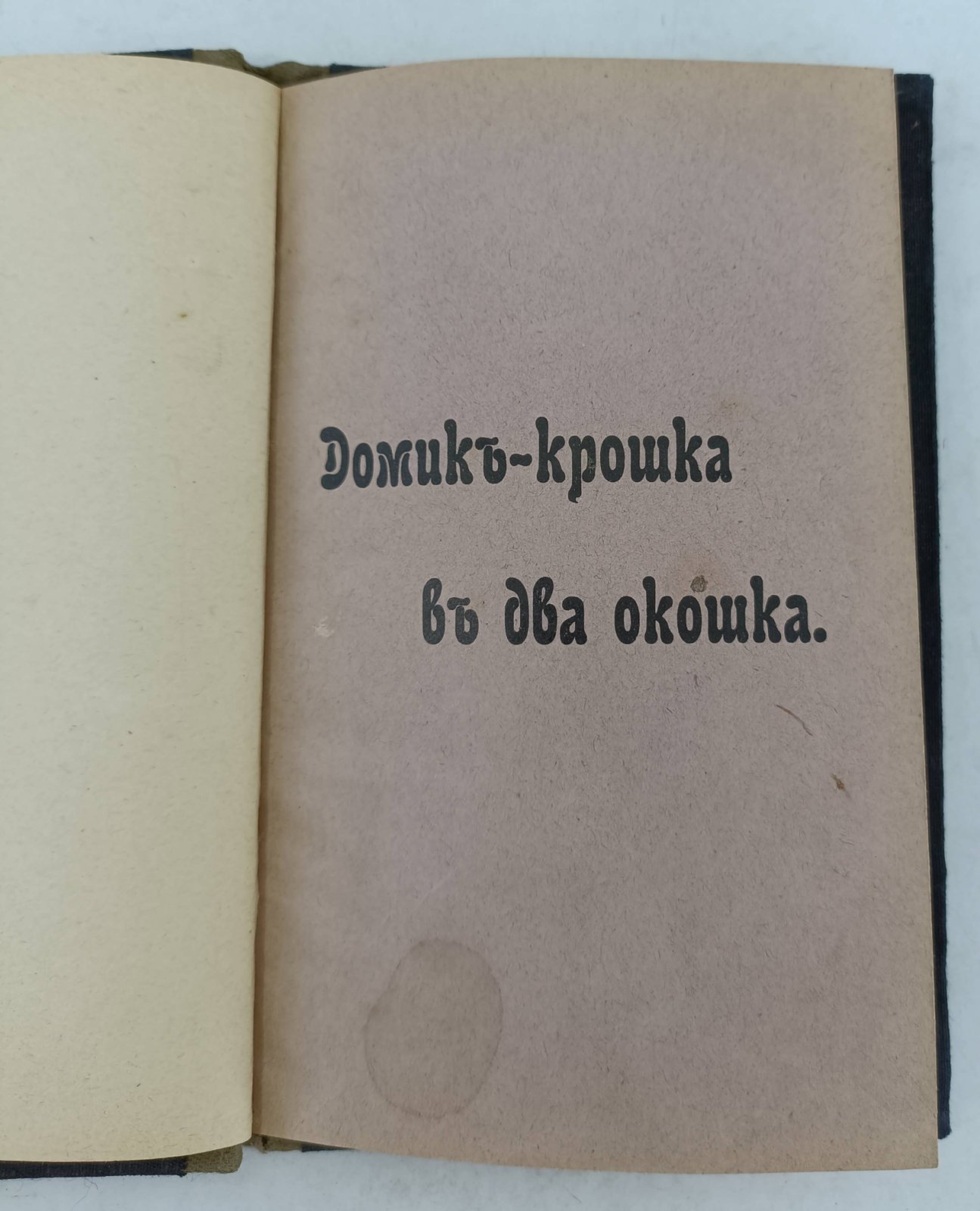Шкляр Н. Домик - крошка в два окошка. Сказочка в простых стишках, но смешная - просто страх!