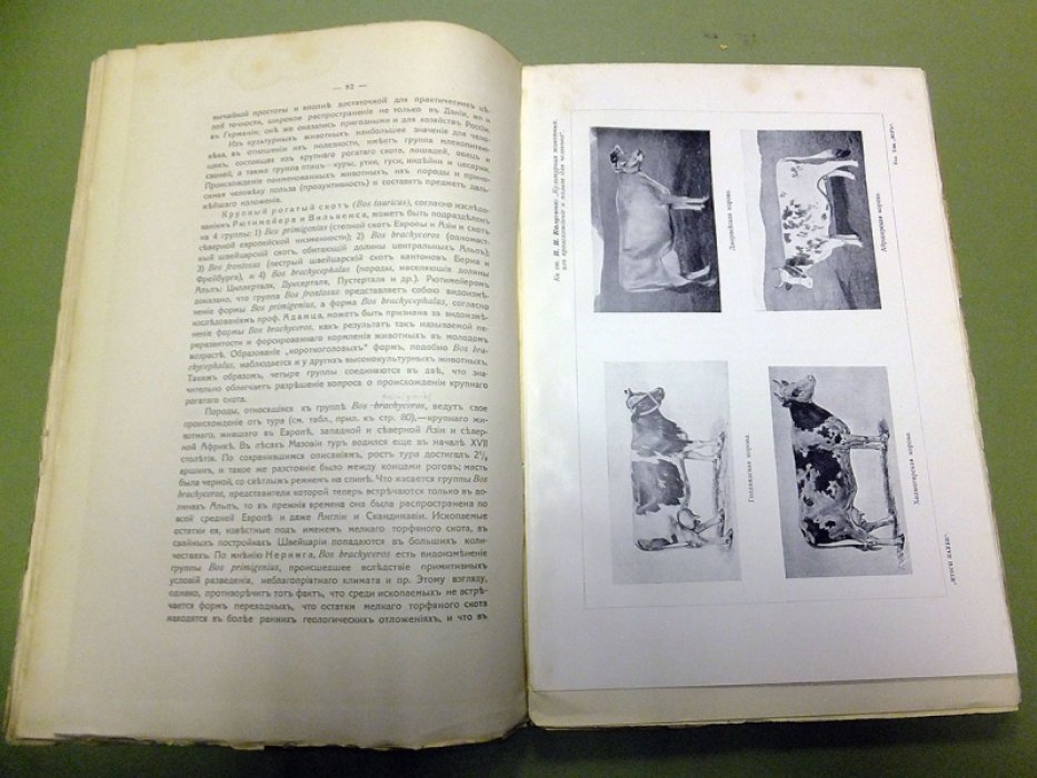 Итоги науки в теории и практике. т. VII. (Жизнь, т. 3, ч. 2).