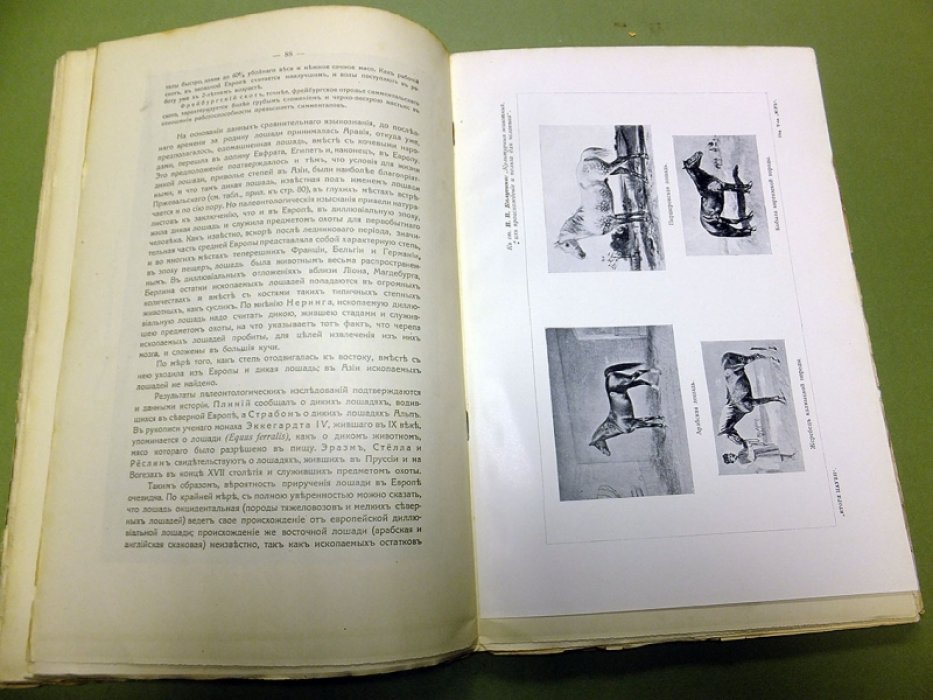 Итоги науки в теории и практике. т. VII. (Жизнь, т. 3, ч. 2).