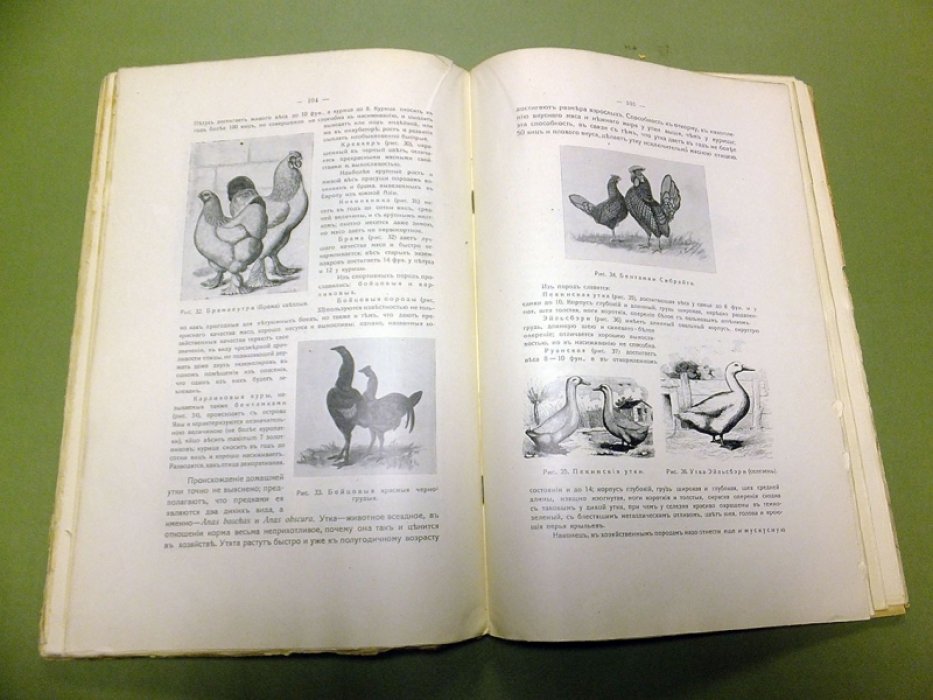 Итоги науки в теории и практике. т. VII. (Жизнь, т. 3, ч. 2).