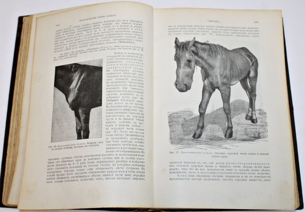 Dr. Hutyra F., Dr. Marek J. Частная патология и терапия домашних животных.