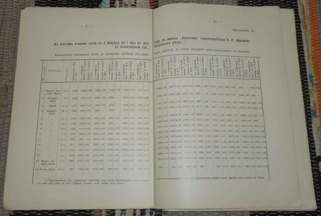 Краткий обзор ведения опытов промышленного откорма скота с 1 февраля по 1 мая 1915 года.