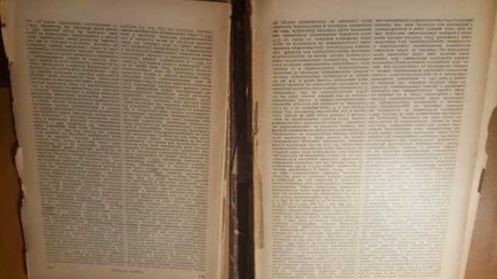 Еврейская энциклопедия. Свод знаний о еврействе и его культуре в прошлом и настоящем.