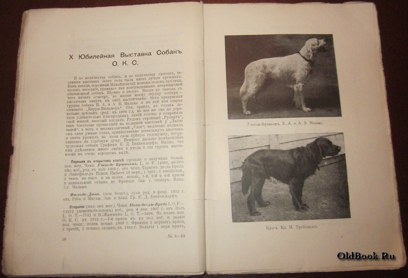 Охота. №3. Июль 1913 г.