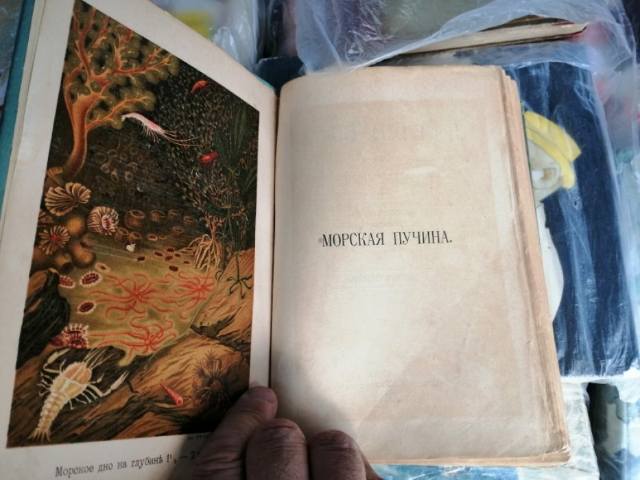 Вольногорский П. По белу свету. Морская пучина.
