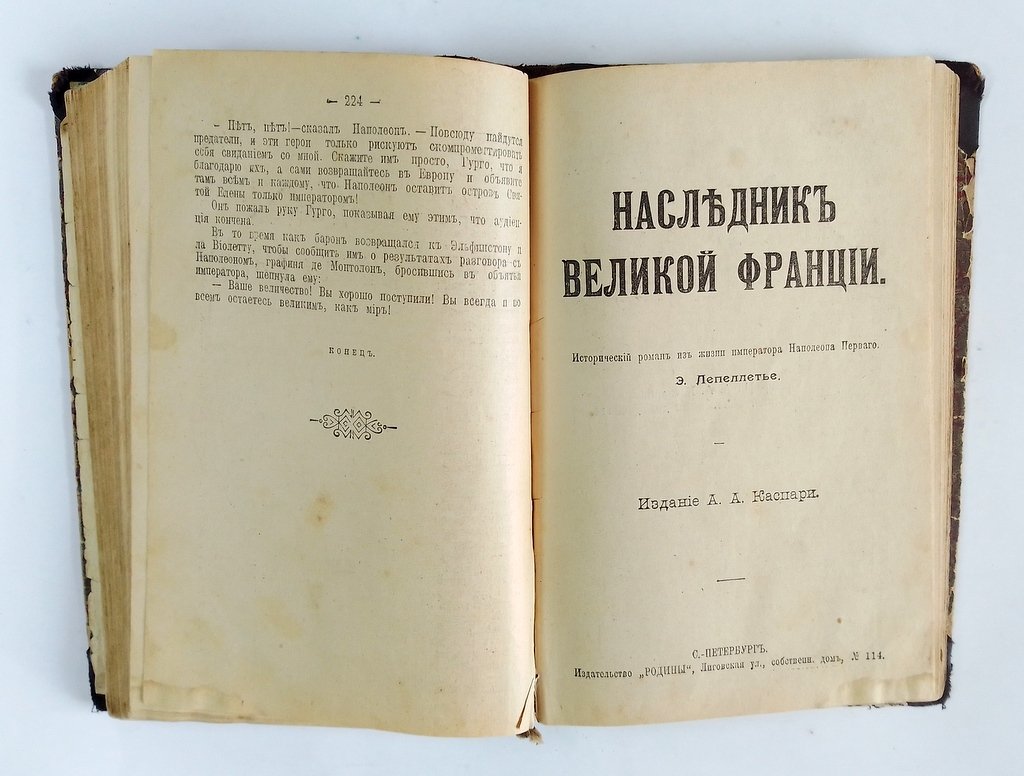 Лепеллетье, Э. Мученик англичан.