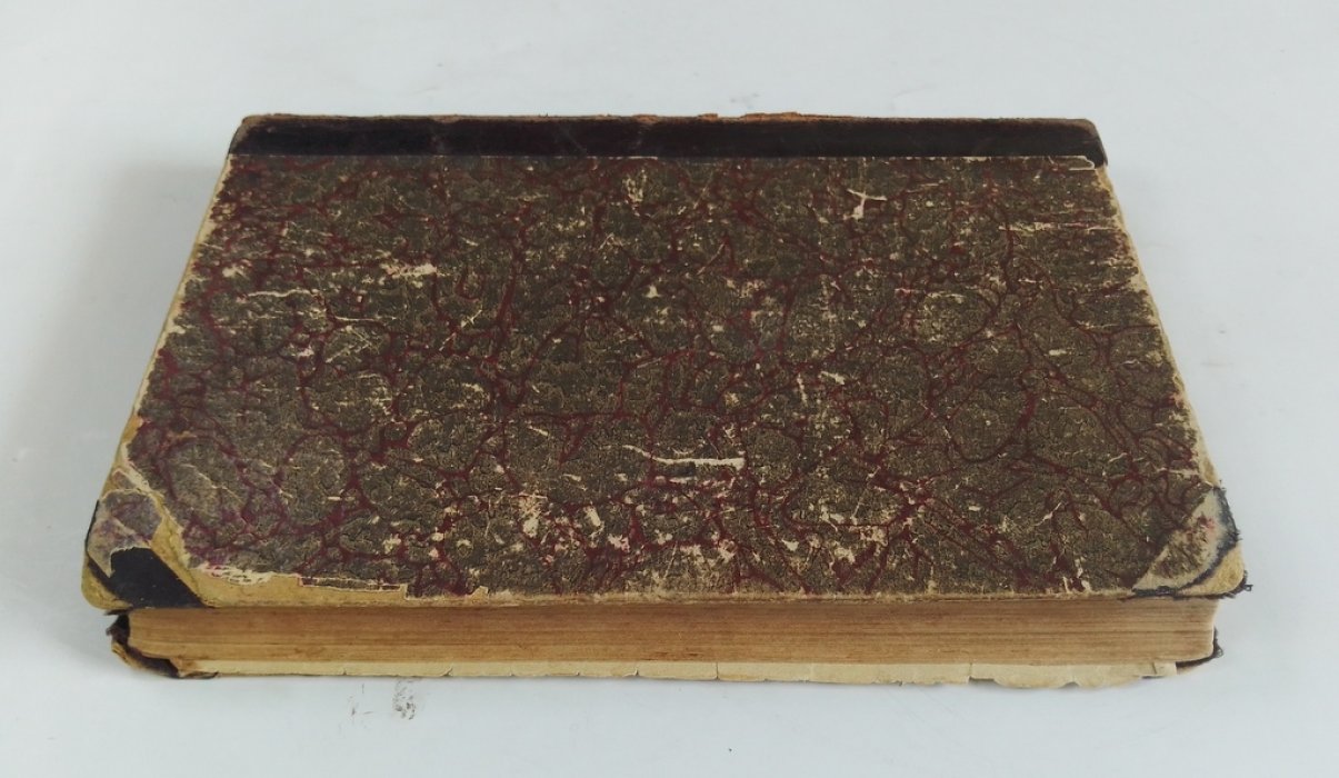 Лепеллетье, Э. Мученик англичан.