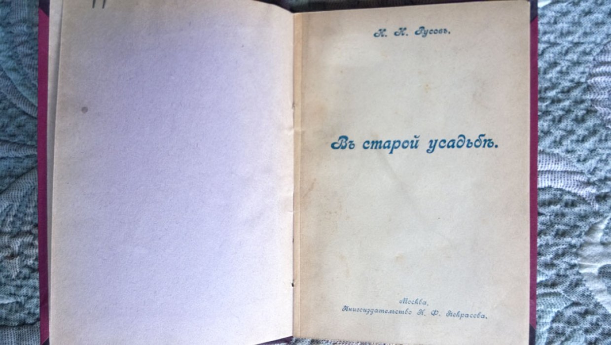 Русов Н.Н. В старой усадьбе.