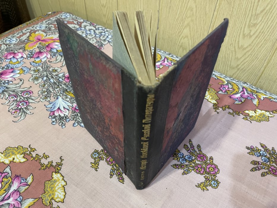 Коган П. Очерки по истории русской литературы. Том третий. Современники. Выпуск I.