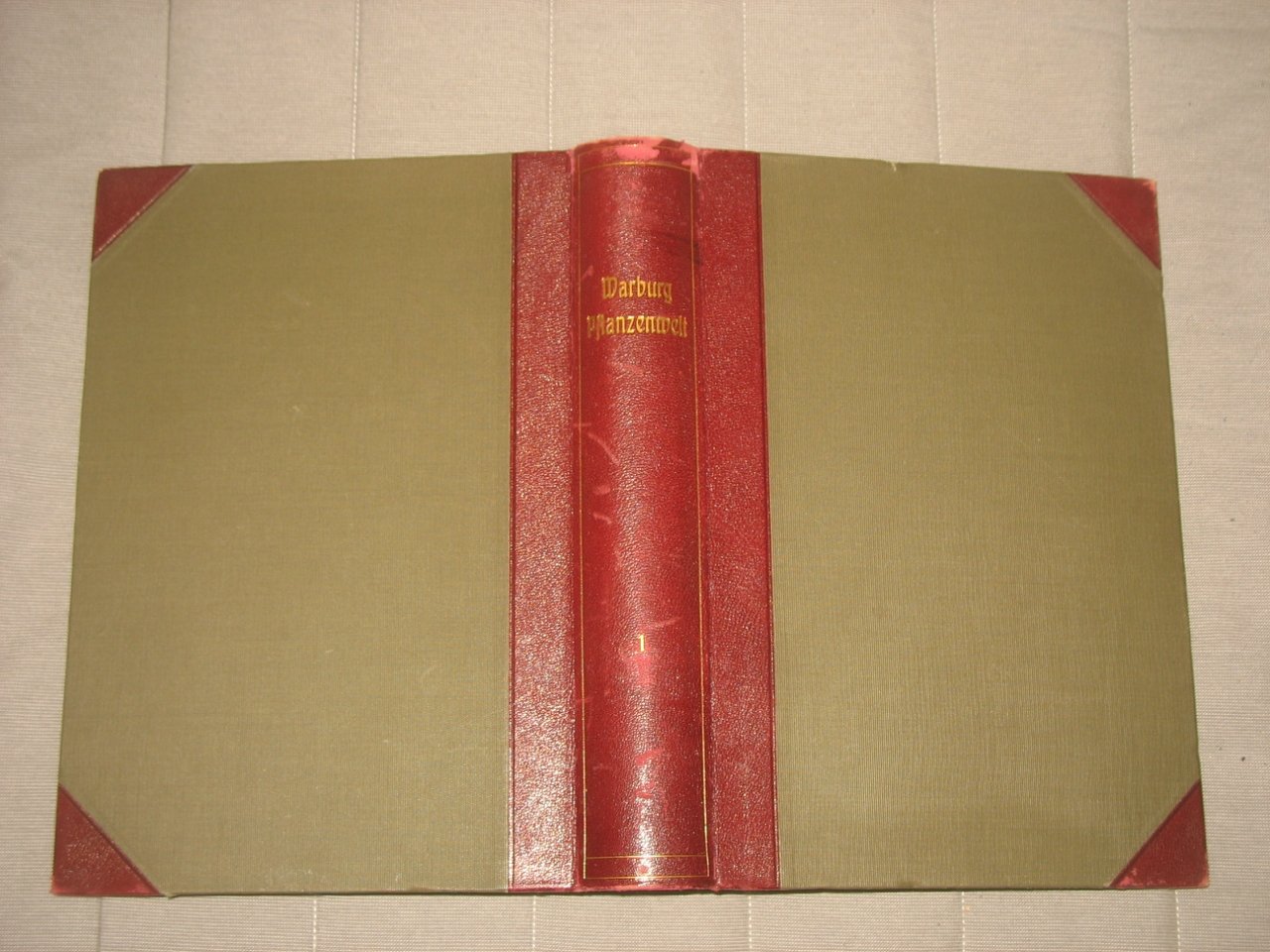 Warburg Otto. Die Pflanzenwelt. / Мир растений. Том 1.