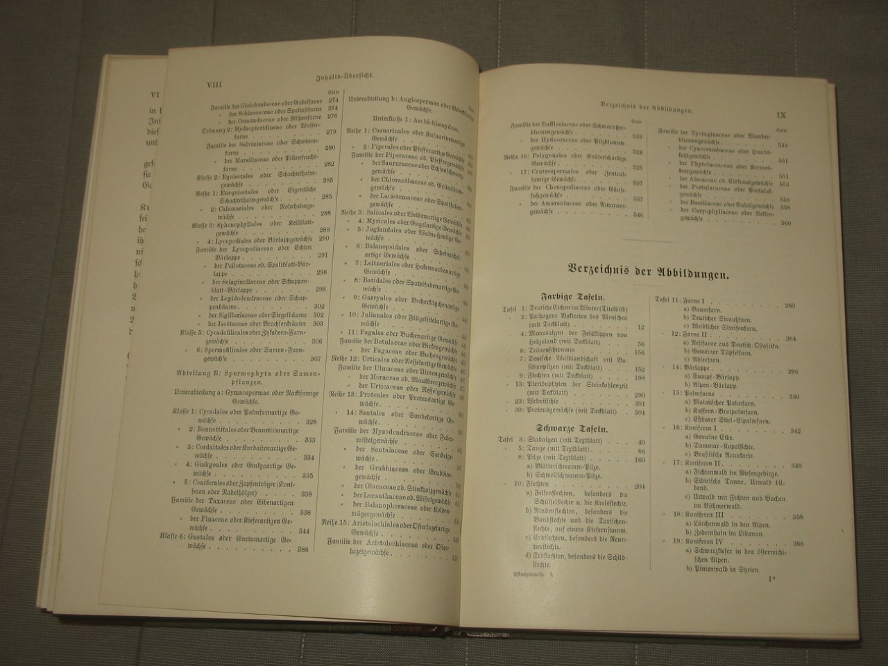 Warburg Otto. Die Pflanzenwelt. / Мир растений. Том 1.
