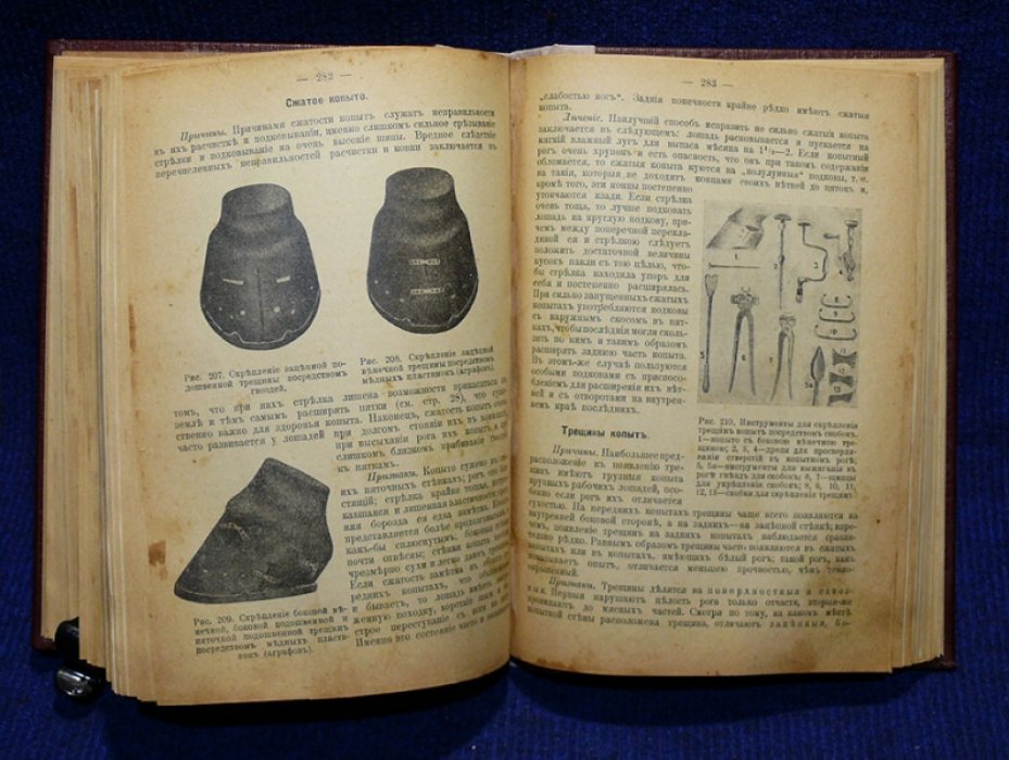 Лечебник домашних животных.
