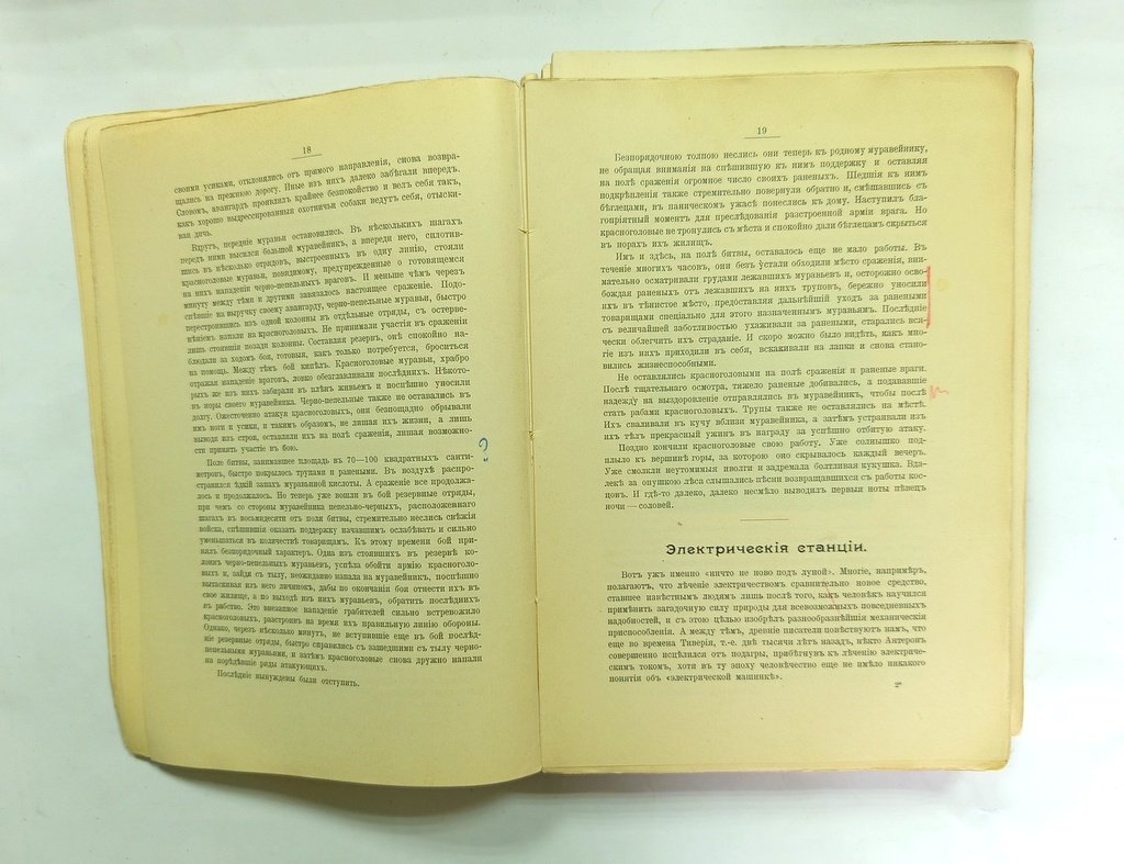 Васильковский, П.Е. Чудеса растительного мира.