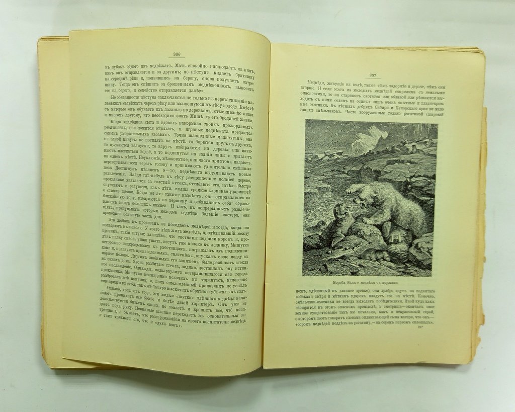 Васильковский, П.Е. Чудеса растительного мира.