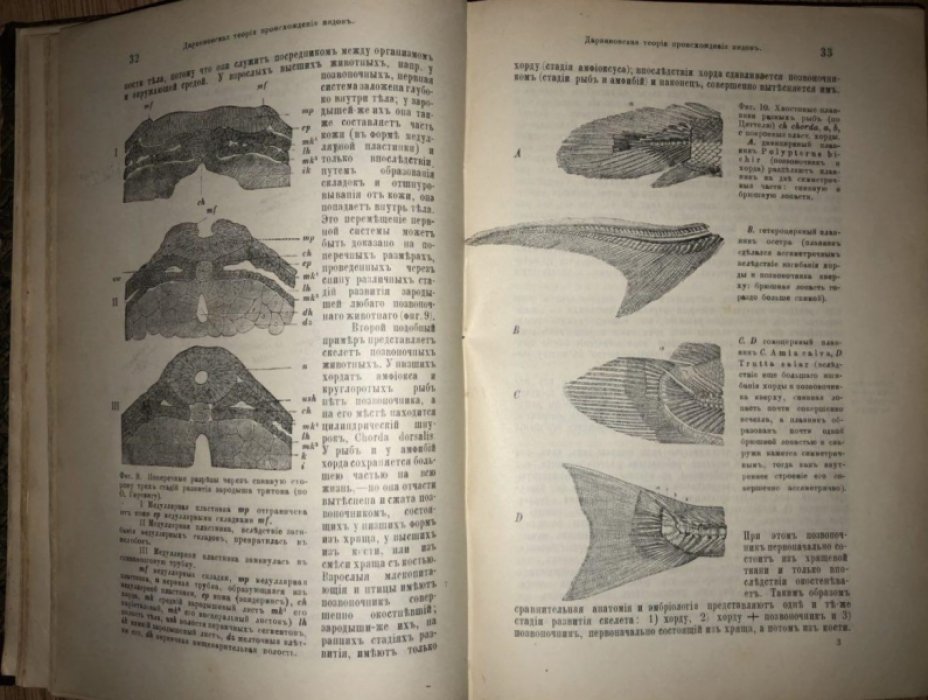 Рихард Гертвиг. Учебник зоологии.