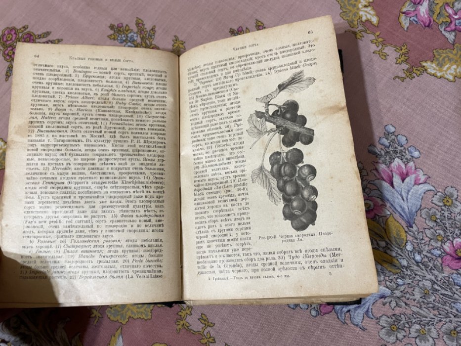 Гребницкий А.С. Уход за плодовым садом.