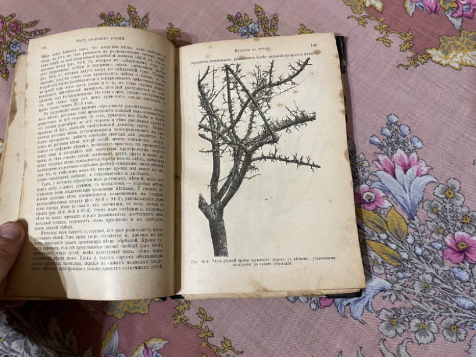 Гребницкий А.С. Уход за плодовым садом.