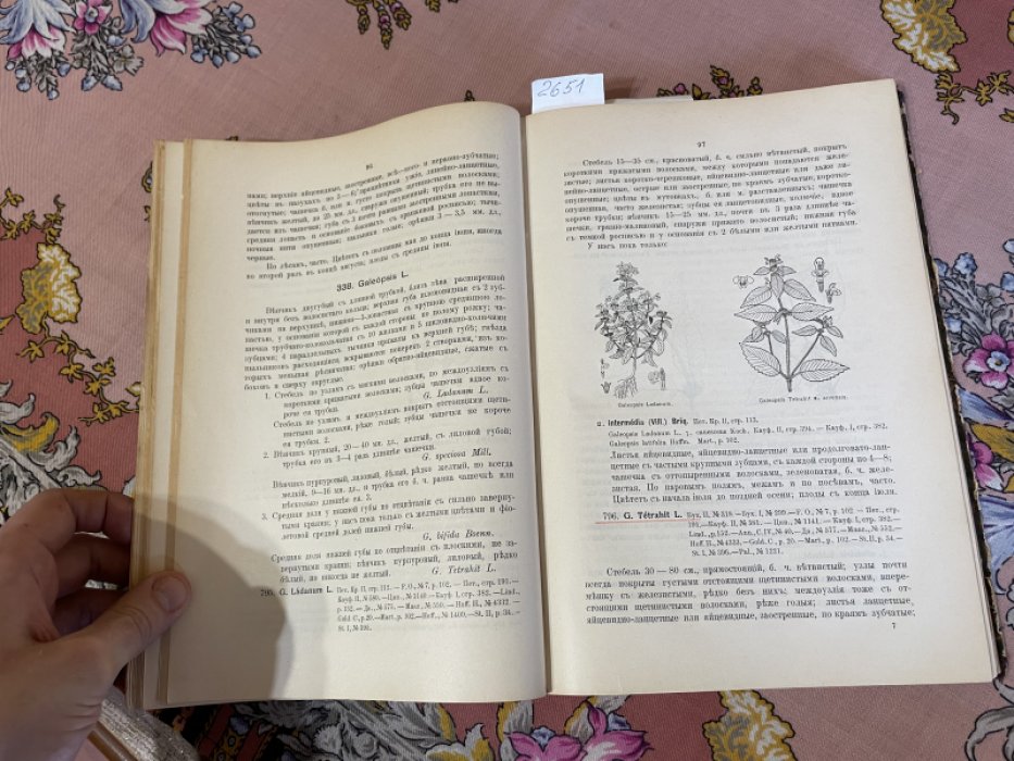 Сырейщиков Д.П. Иллюстрированная флора Московской губернии. Часть III.