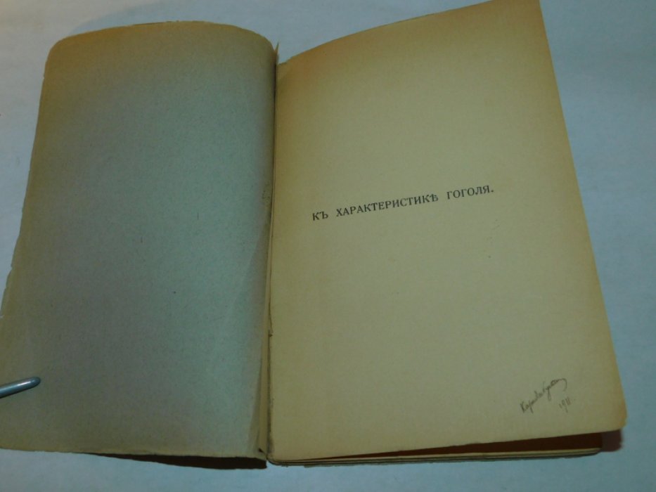 Брюсов В. Испепеленный.