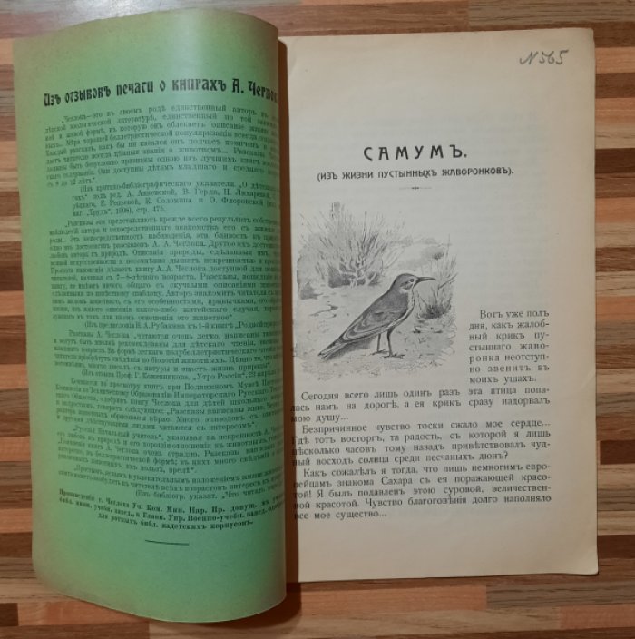 Чеглок А. Мои приключения в Сахаре и Северной Африке.