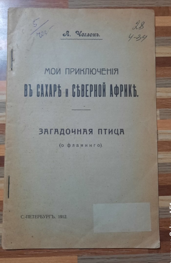 Чеглок А. Мои приключения в Сахаре и Северной Африке. Загадочная птица (о фламинго).