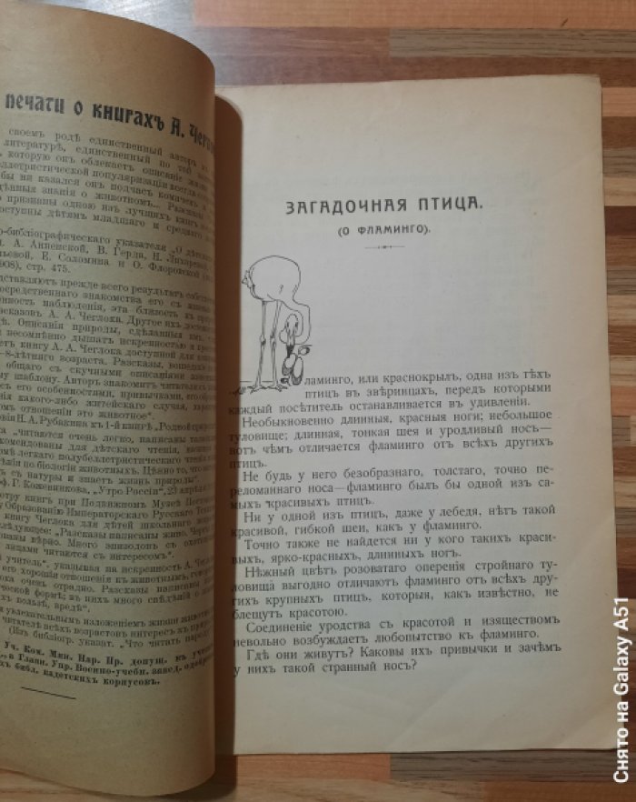 Чеглок А. Мои приключения в Сахаре и Северной Африке. Загадочная птица (о фламинго).