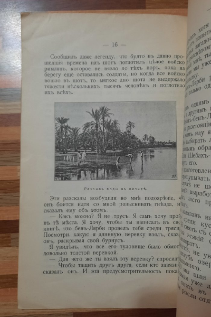 Чеглок А. Мои приключения в Сахаре и Северной Африке. Загадочная птица (о фламинго).