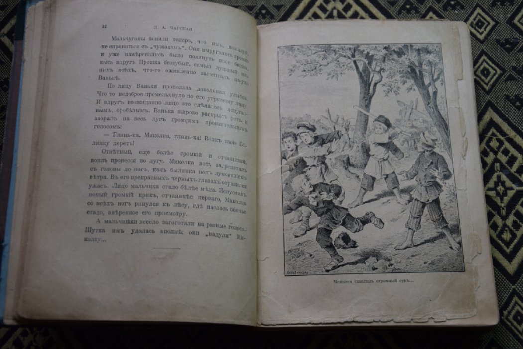 Чарская. Дом шалунов.