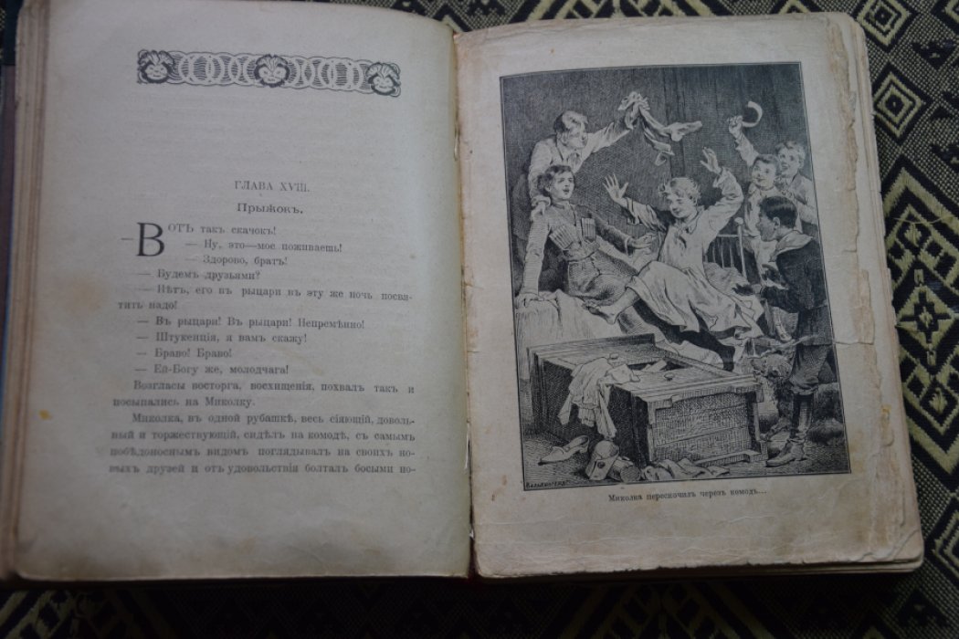 Чарская. Дом шалунов.
