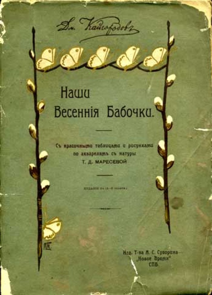 Кайгородов Д. Наши Весенние Бабочки.