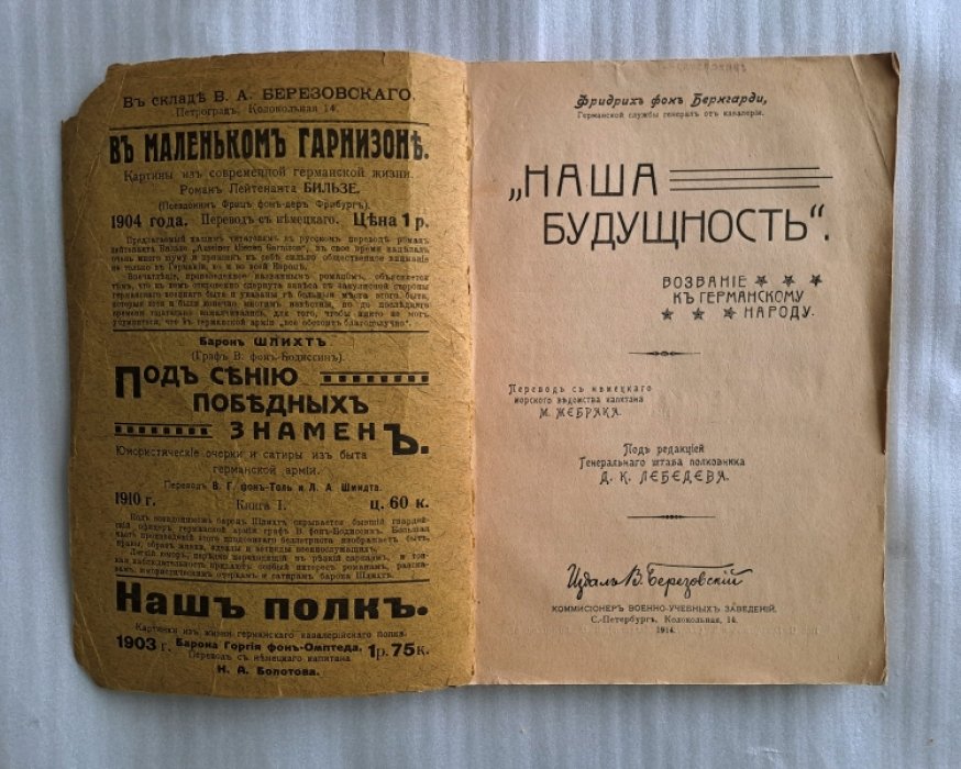 Бернгарди Фридрих фон. Наша будущность. Возвание к германскому народу.