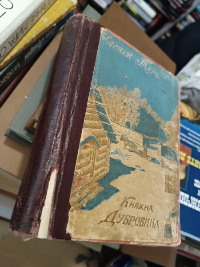Тур Евгения (гр.Е.В.Салиас) Княжна Дубровина. Повесть в трех частях для юношества. С 26 рисунками.