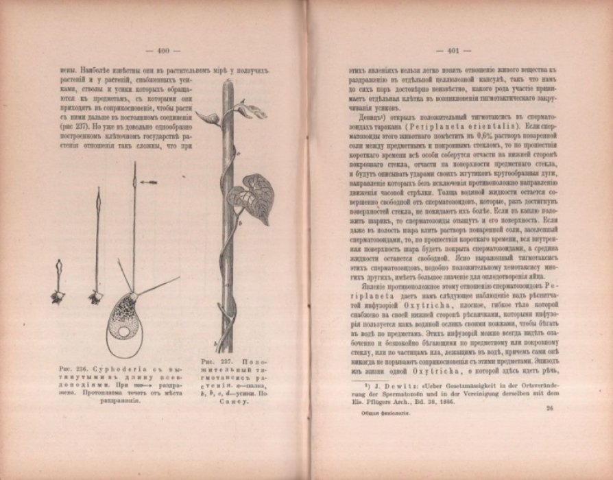 Ферворн М. Общая физиология. Основы учения о жизни. Выпуск второй.