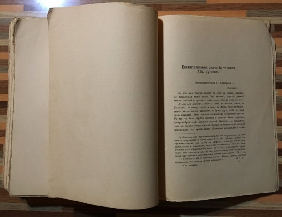 Розанов В.В. Среди художников.
