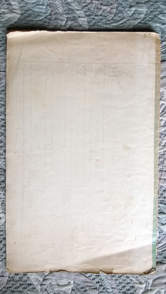 Отчет Добровольного флота за 1910 год.