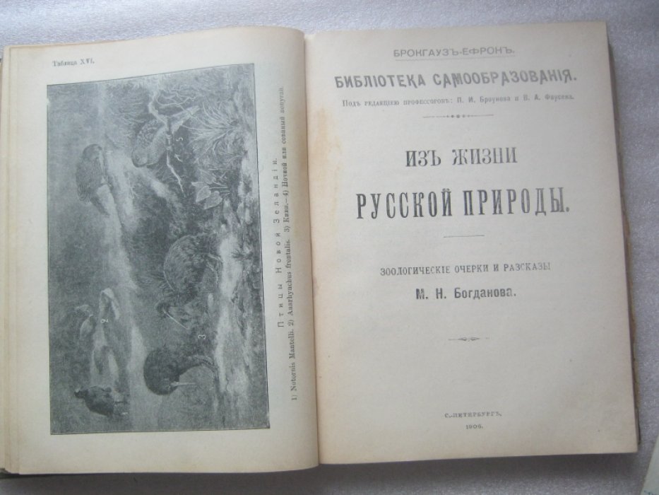 Никольский А.М., Богданов М. Н.. 1. Земля и мир животных (география животных): 2. Из жизни русской природы. Зоологические очерки и рассказы.