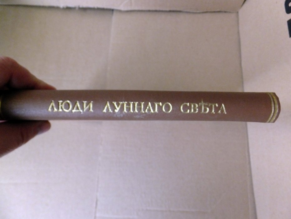 Розанов В. Люди лунного света. Метафизика христианства.