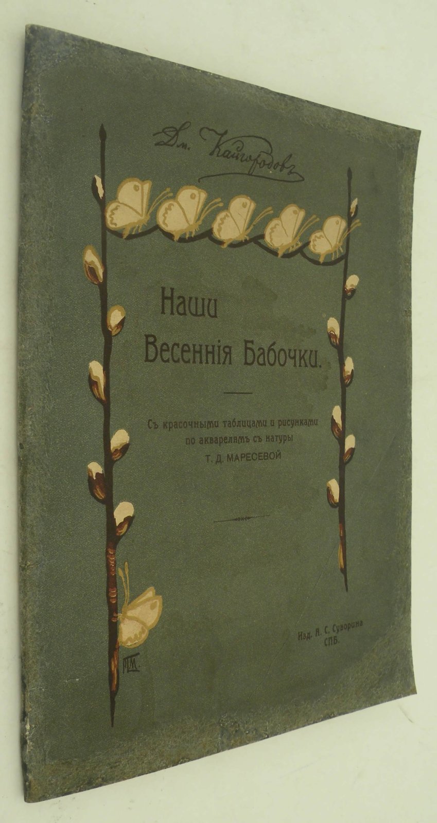 Кайгородцев Димитрий. Наши весенние бабочки.