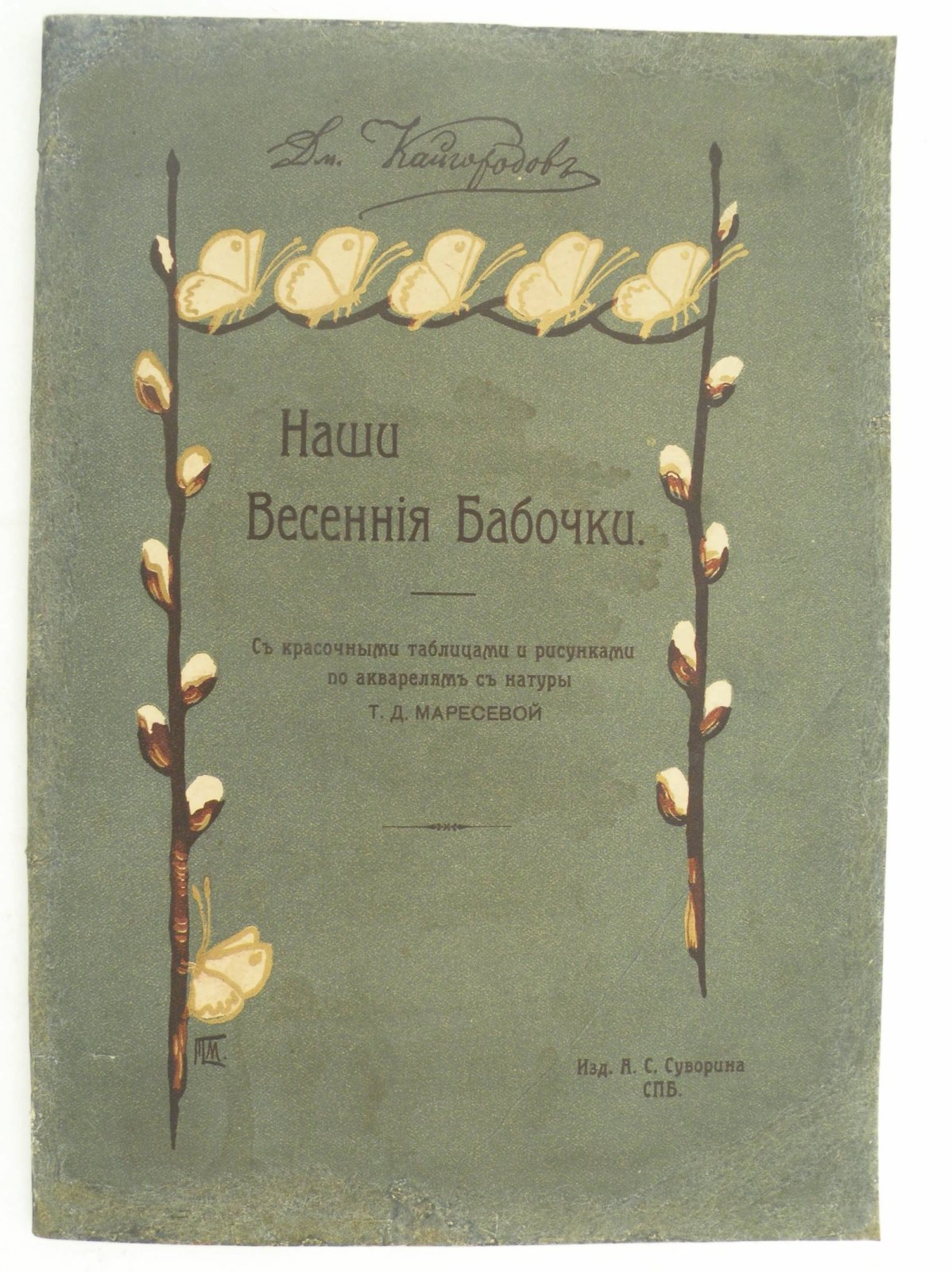 Кайгородцев Димитрий. Наши весенние бабочки.