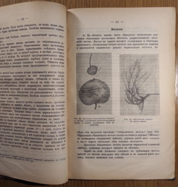 Санкт-Петербургский Земский Вестник.