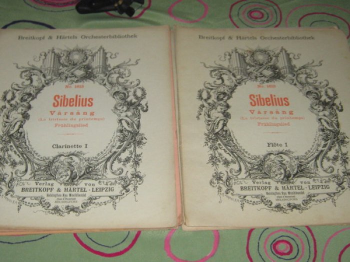 Sibelius Jean (Сибелиус Ян). En saga/ Eine Sage. (Сказка. Симфоническая поэма)