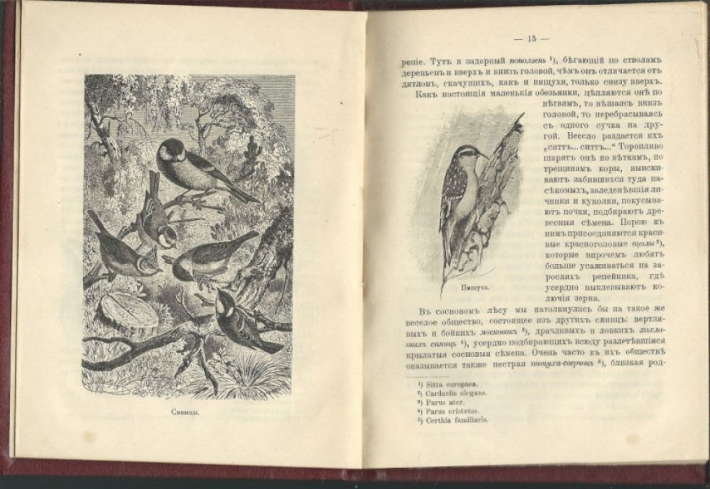 Покровский С.В. Календарь природы. Зима. I.