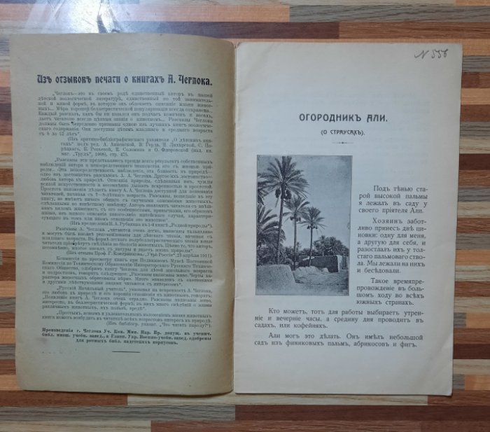 Чеглок А. Мои приключения в Сахаре и Северной Африке. Огородник Али (о страусах).