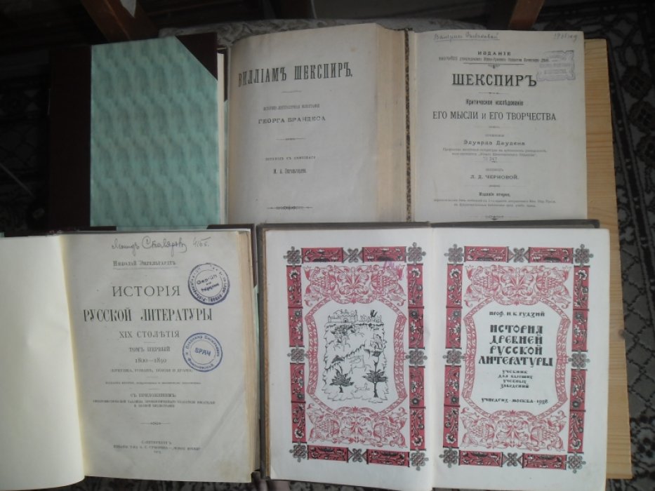 Энгельгардтъ Николай. История русской литературы 19 столетия, в 2 томах.